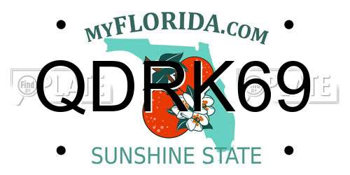 QDRK69 Florida License Plate