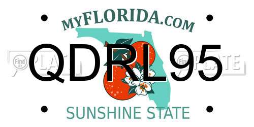 QDRL95 Florida License Plate