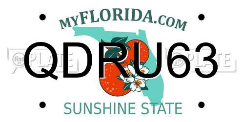 QDRU63 Florida License Plate