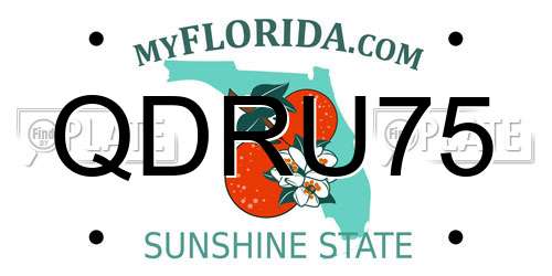 QDRU75 Florida License Plate