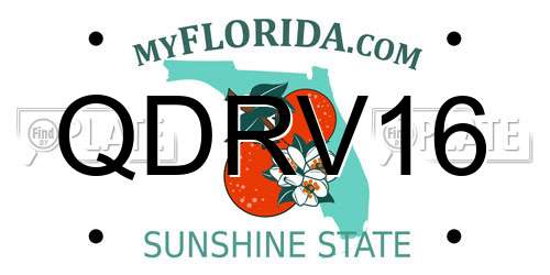 QDRV16 Florida License Plate
