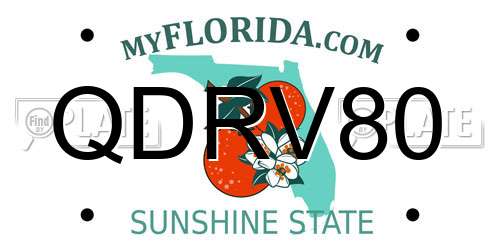 QDRV80 Florida License Plate