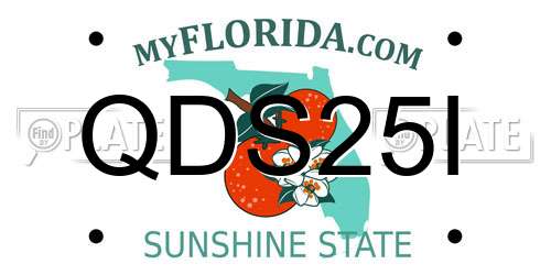 QDS25I Florida License Plate