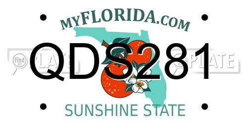 QDS281 Florida License Plate