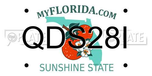 QDS28I Florida License Plate