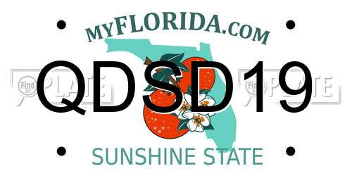 QDSD19 Florida License Plate