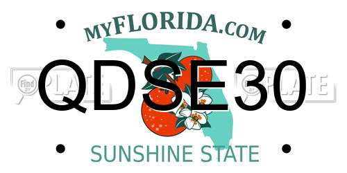 QDSE30 Florida License Plate