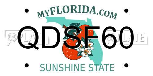QDSF60 Florida License Plate