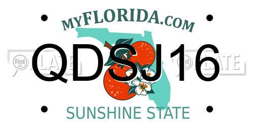 QDSJ16 Florida License Plate