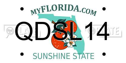 QDSL14 Florida License Plate