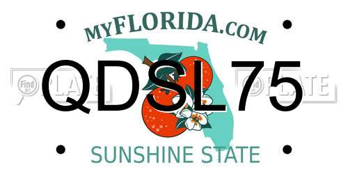 QDSL75 Florida License Plate