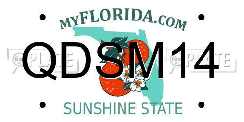 QDSM14 Florida License Plate