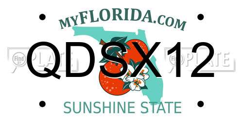QDSX12 Florida License Plate