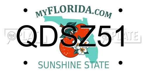 QDSZ51 Florida License Plate