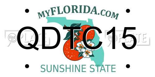 QDTC15 Florida License Plate