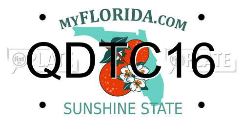 QDTC16 Florida License Plate