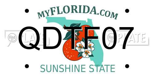 QDTF07 Florida License Plate