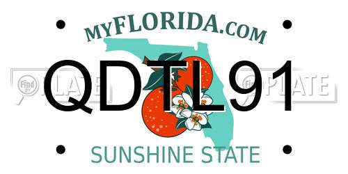 QDTL91 Florida License Plate