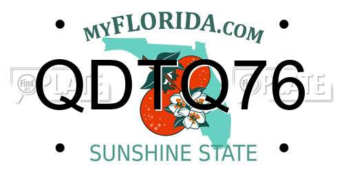 QDTQ76 Florida License Plate