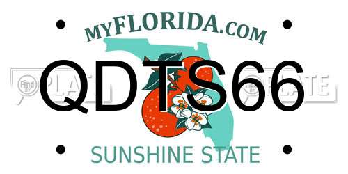 QDTS66 Florida License Plate