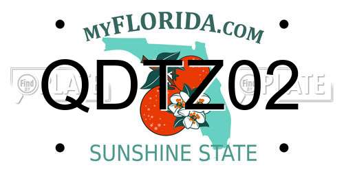 QDTZ02 Florida License Plate