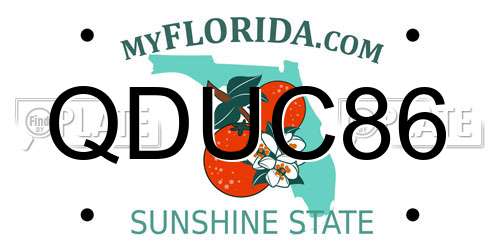 QDUC86 Florida License Plate
