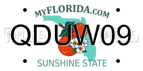 QDUW09 Florida License Plate