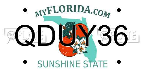 QDUY36 Florida License Plate