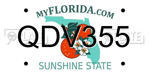 QDV355 Florida License Plate