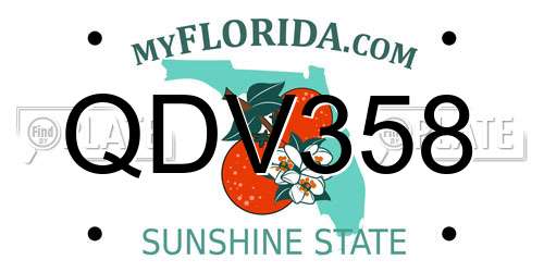 QDV358 Florida License Plate