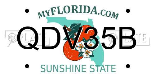 QDV35B Florida License Plate
