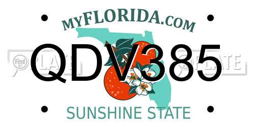 QDV385 Florida License Plate