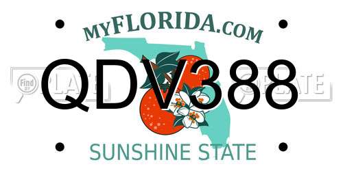 QDV388 Florida License Plate
