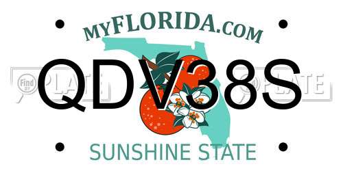 QDV38S Florida License Plate