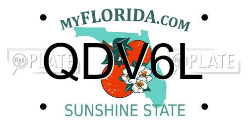 QDV6L Florida License Plate