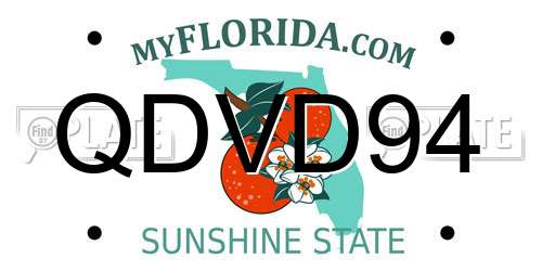 QDVD94 Florida License Plate