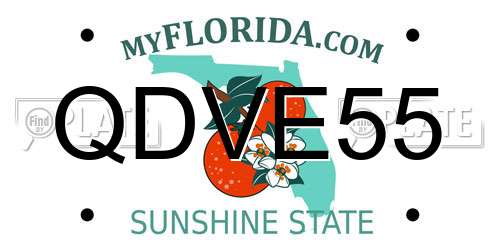 QDVE55 Florida License Plate