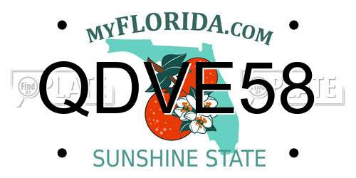 QDVE58 Florida License Plate