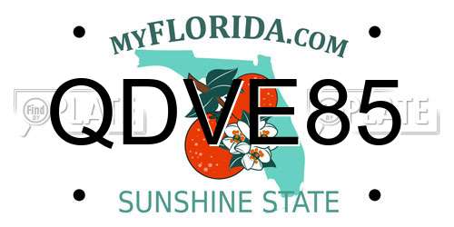 QDVE85 Florida License Plate