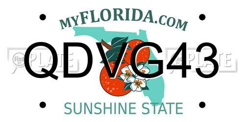 QDVG43 Florida License Plate