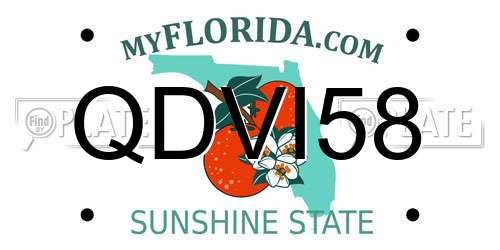 QDVI58 Florida License Plate