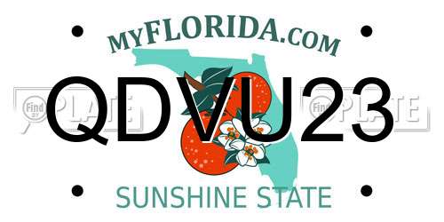 QDVU23 Florida License Plate