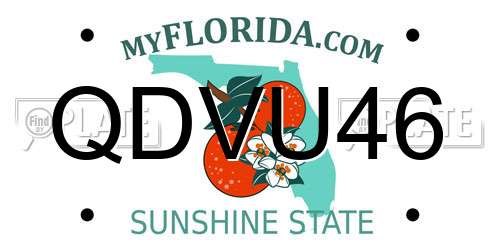 QDVU46 Florida License Plate