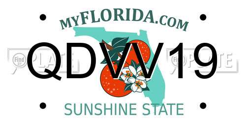 QDVV19 Florida License Plate