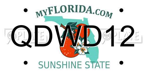 QDWD12 Florida License Plate