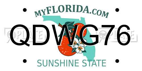 QDWG76 Florida License Plate