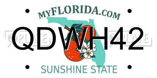 QDWH42 Florida License Plate