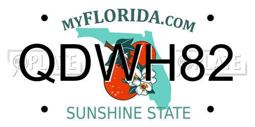 QDWH82 Florida License Plate