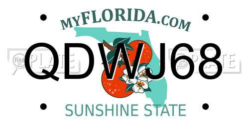 QDWJ68 Florida License Plate