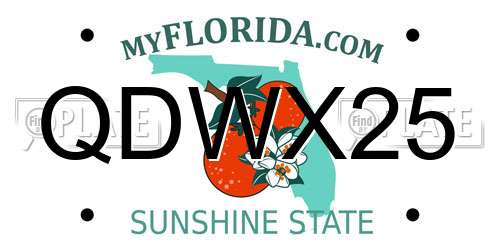 QDWX25 Florida License Plate
